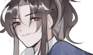 二哈与他的白猫师尊